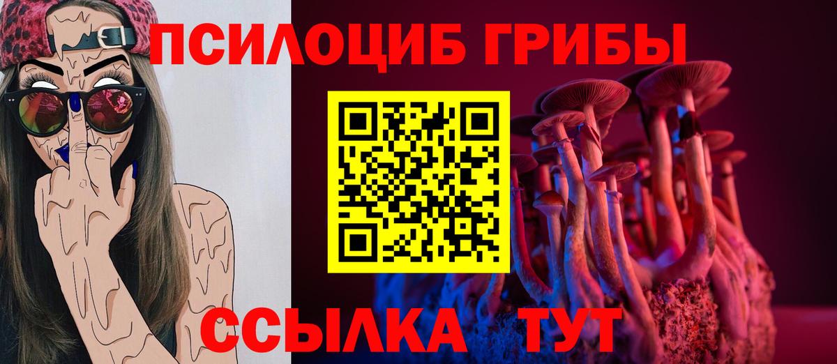 Псилоцибиновые грибы Psilocybine cubensis  Псилоцибиновые грибы Psilocybine cubensis  Вход с VPN  Ишимбай 